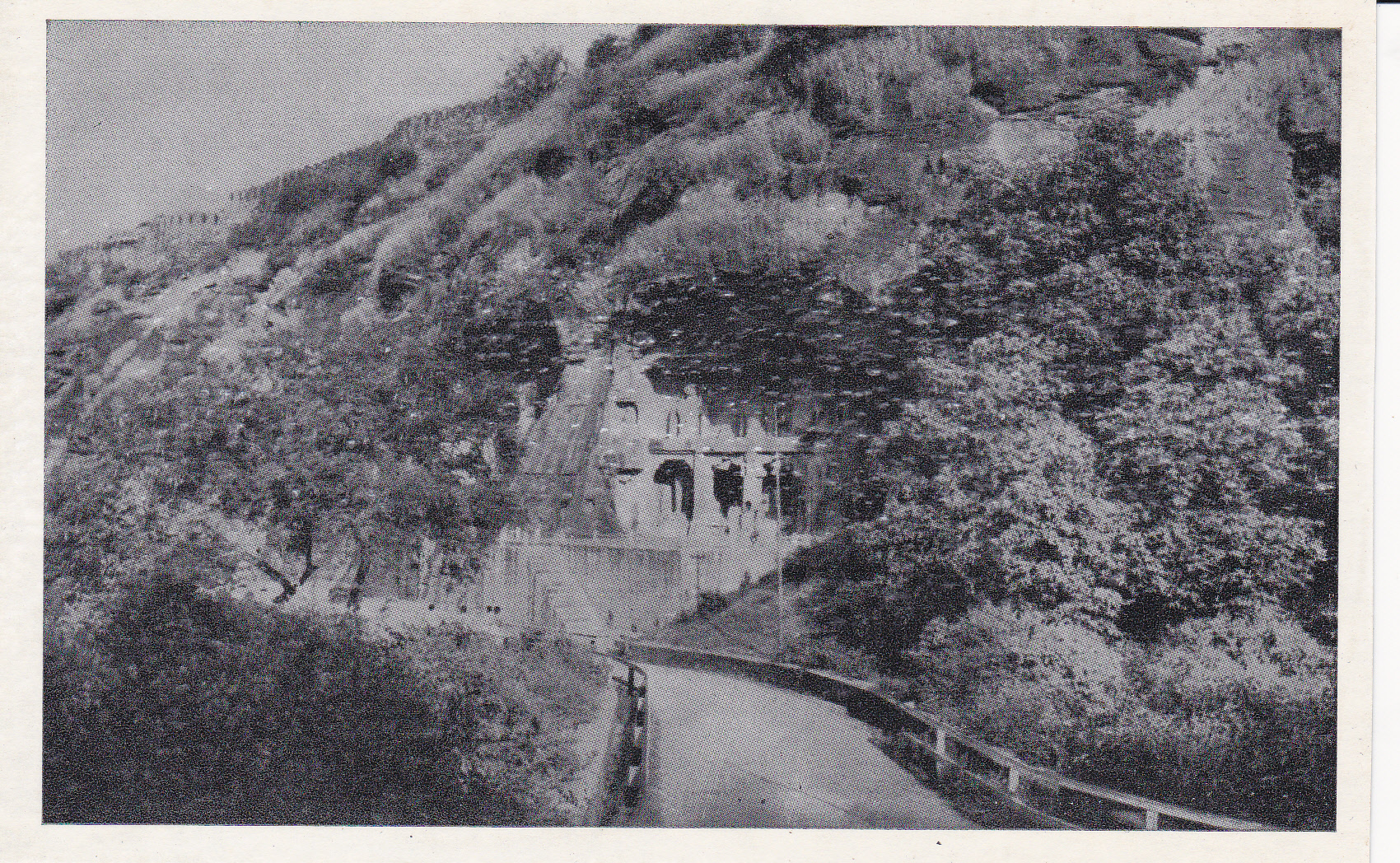 Gwalior Jain Caves 1