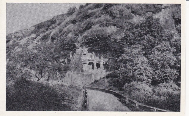 Gwalior Jain Caves 1