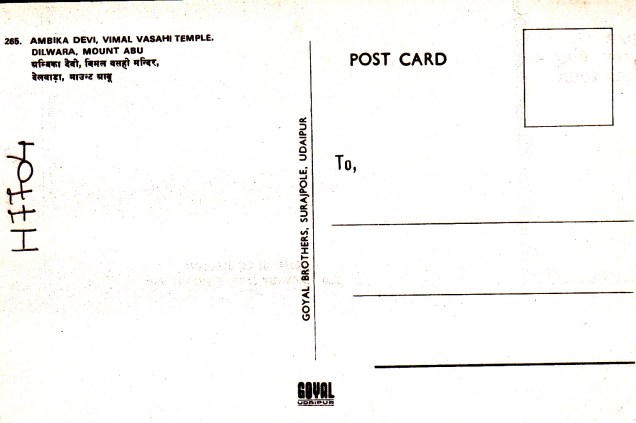 Ambika Devi Vimal Vasahi Jain Temple Dilwara Mount Abuback