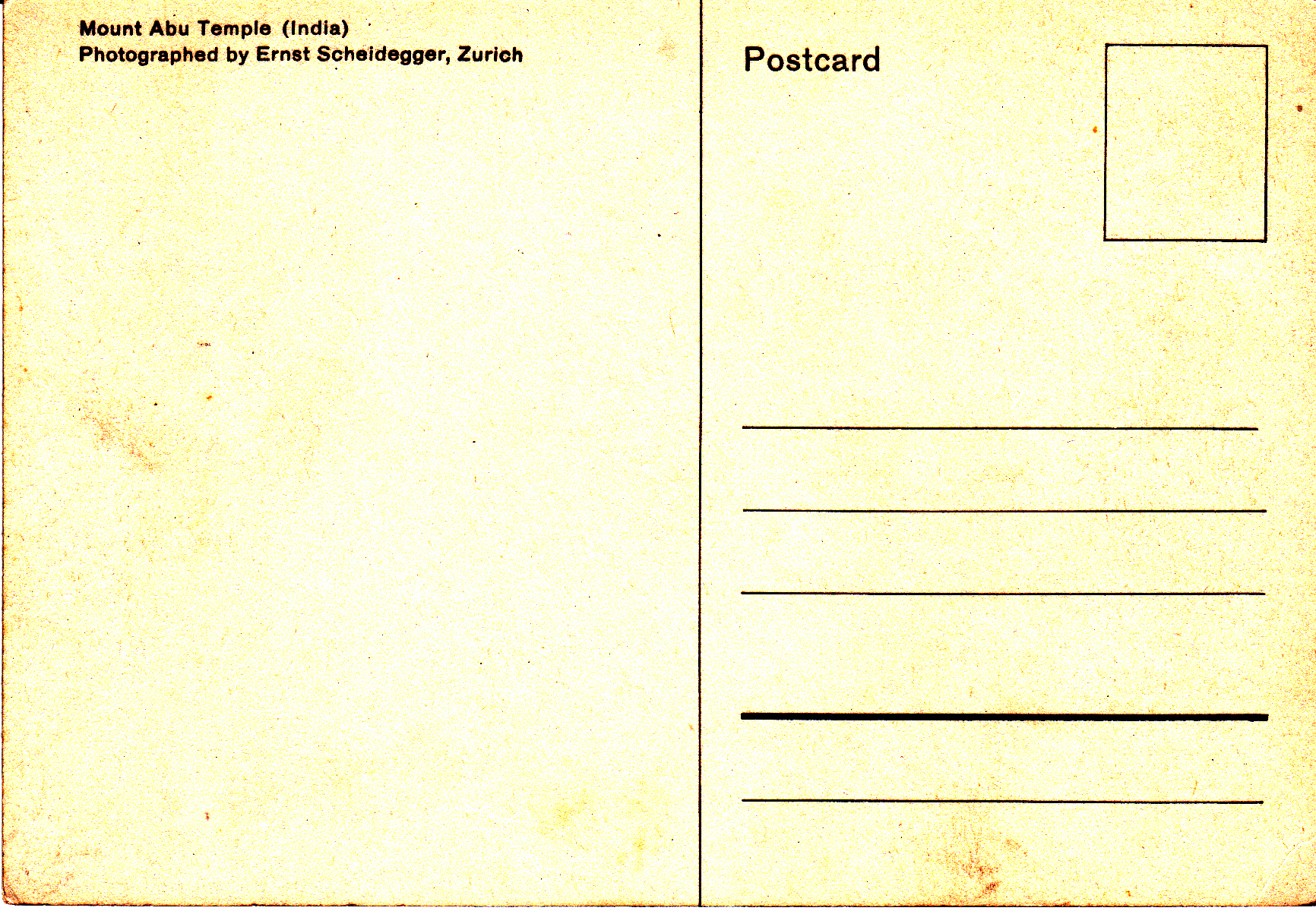 Delwara Mount Abu Central Ceilingback