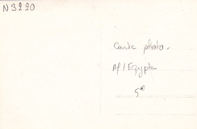 Delwara Mount Abu decorative pillarback