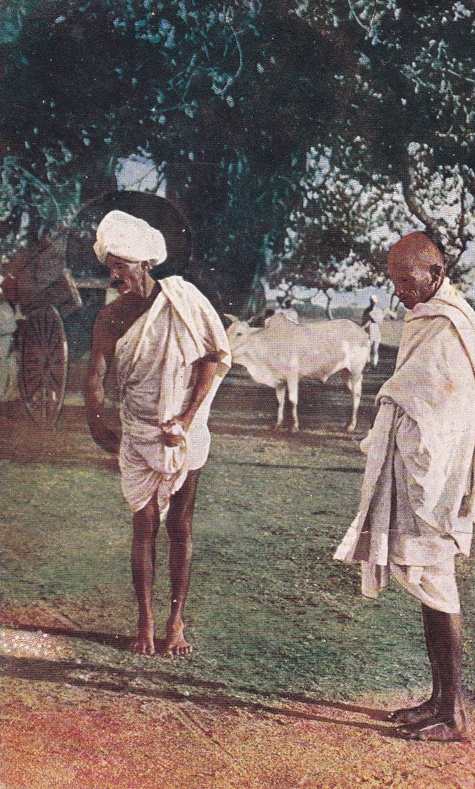 Feeding Ants for Merit