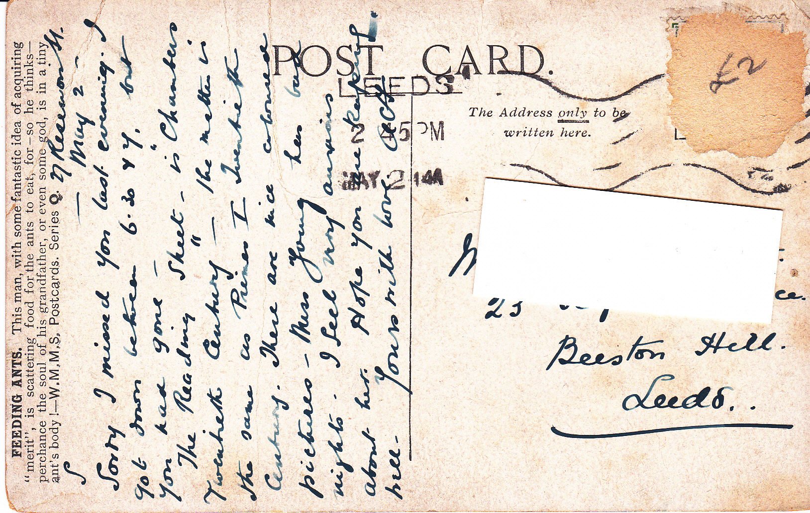 Feeding Ants for Meritback