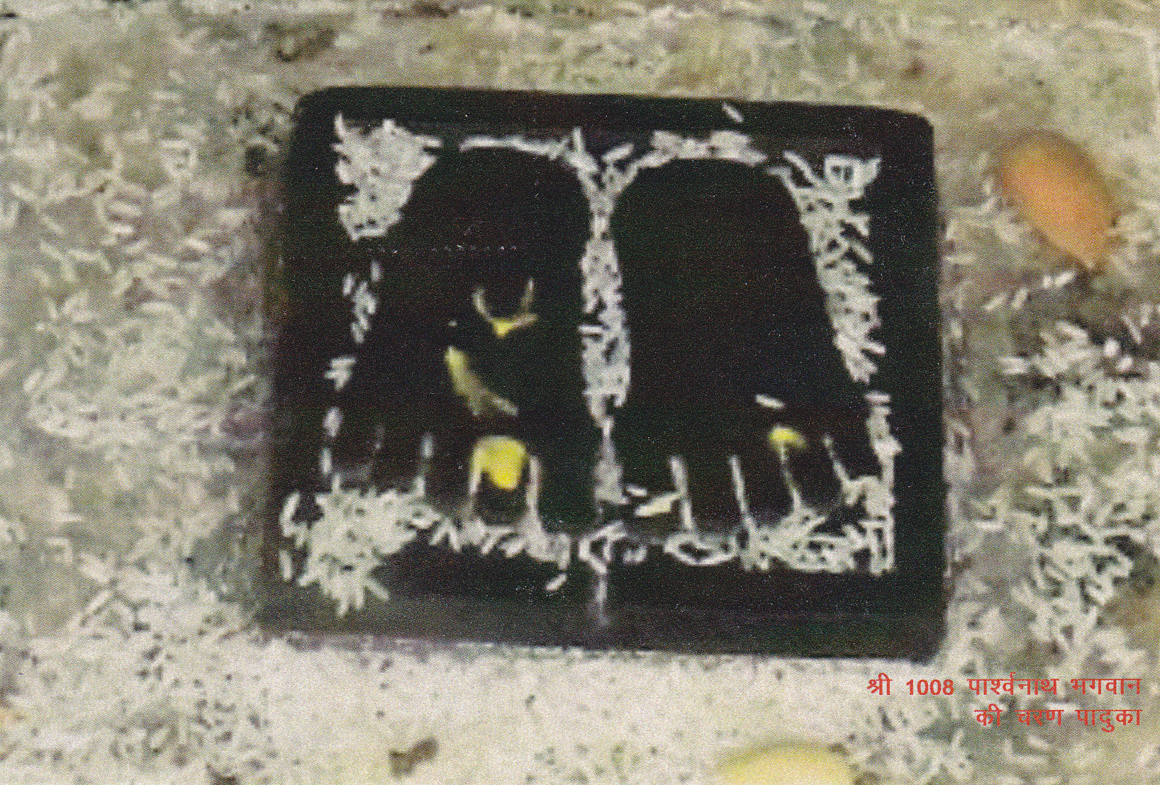 Sri 1008 Parshvanatha Bhagavan Ki Charan Paduka